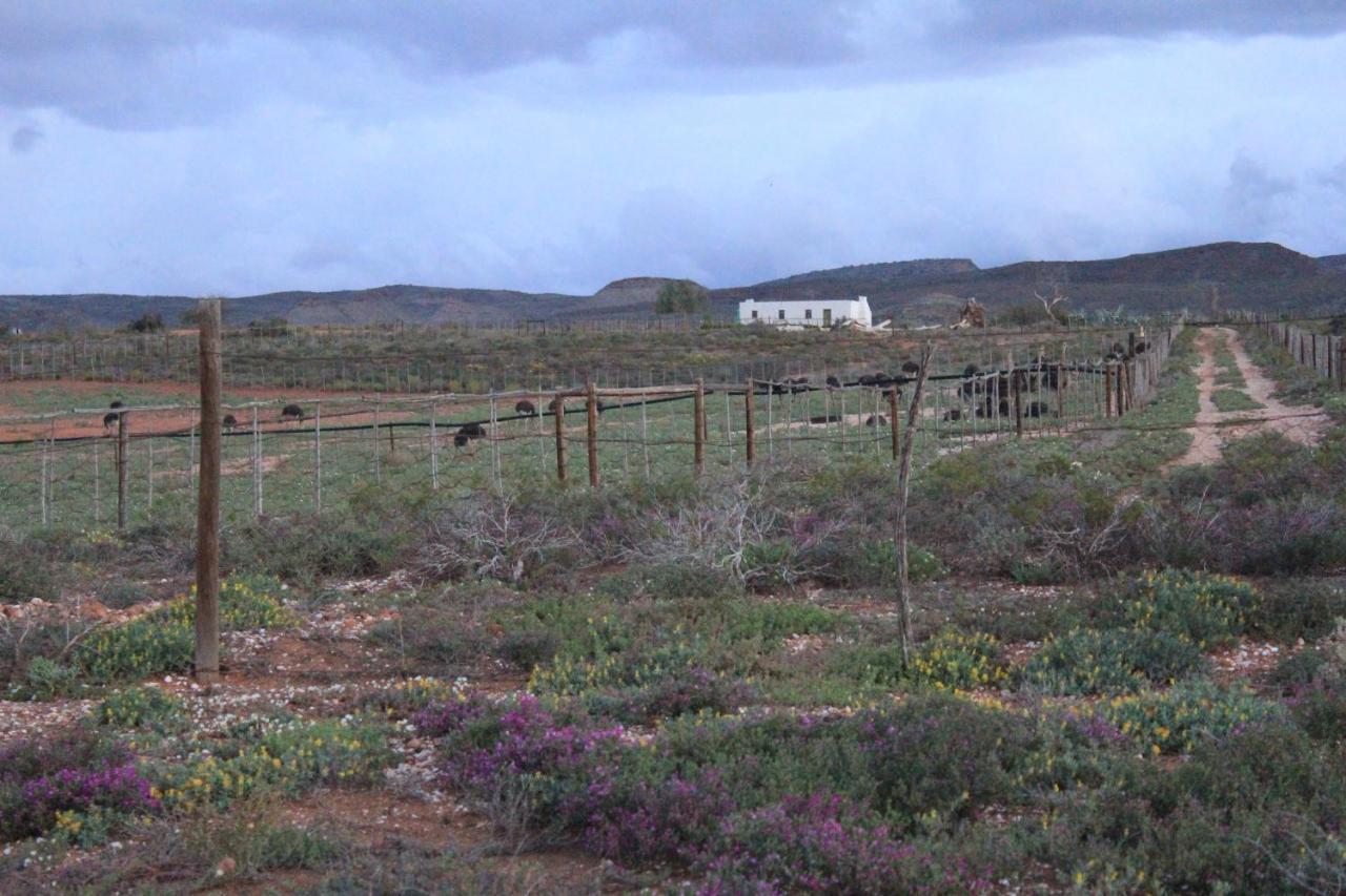 Pureplaas Self Catering Volmoed Oudtshoorn Klein Karoo Appartement Buitenkant foto
