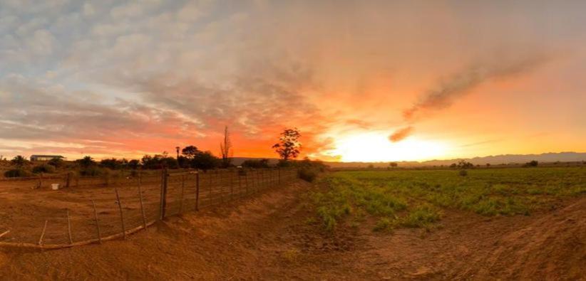 Pureplaas Self Catering Volmoed Oudtshoorn Klein Karoo Appartement Buitenkant foto